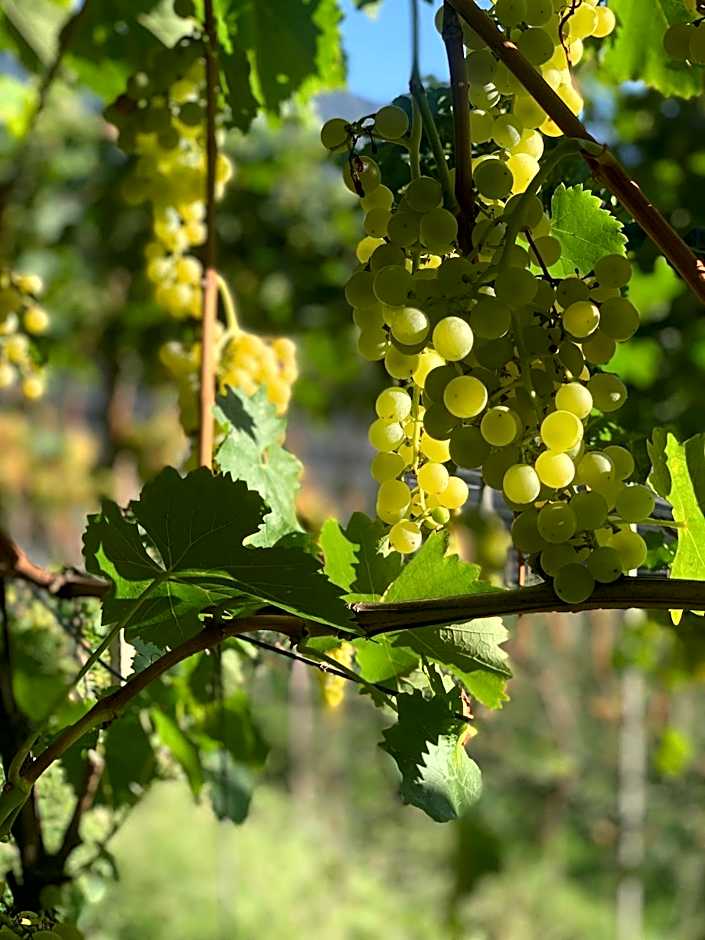 Tannerhof Bed & Breakfast