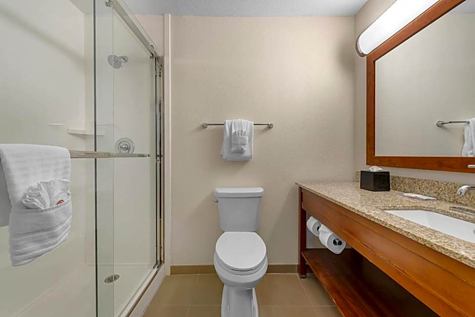 Comfort Inn & Suites Carbondale On The Roaring Fork