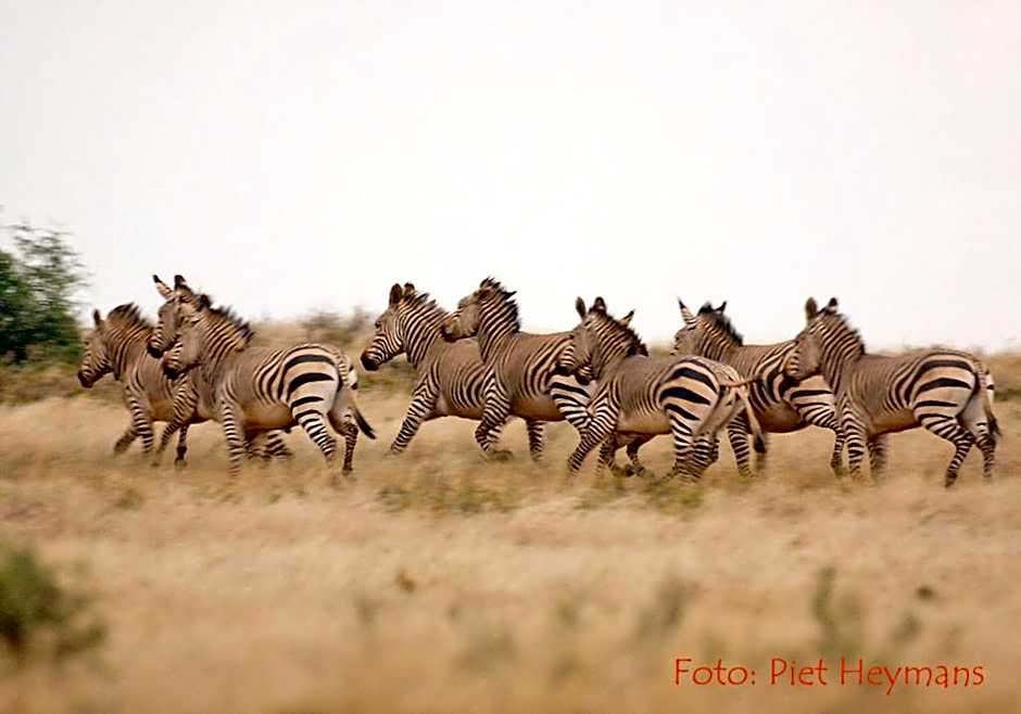 Otterskloof Game Reserve