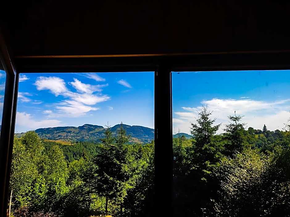 Cabana doi mesteceni