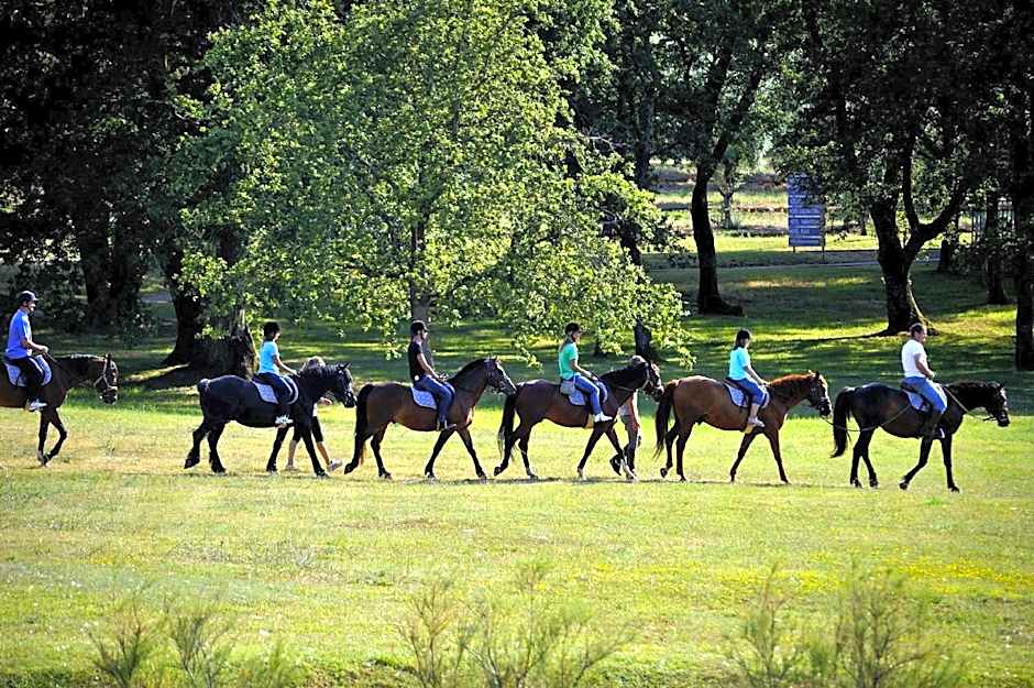 Hotel Delfin Plava Laguna
