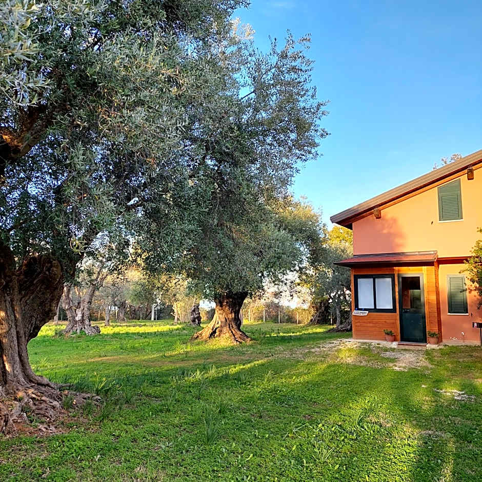 La Piana degli Ulivi