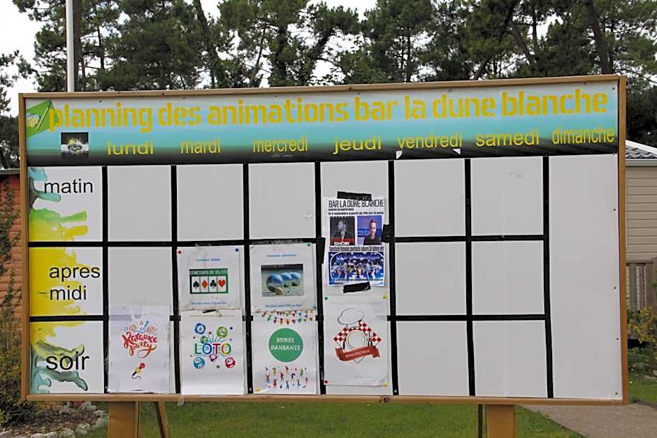 Entre sable et feuillus