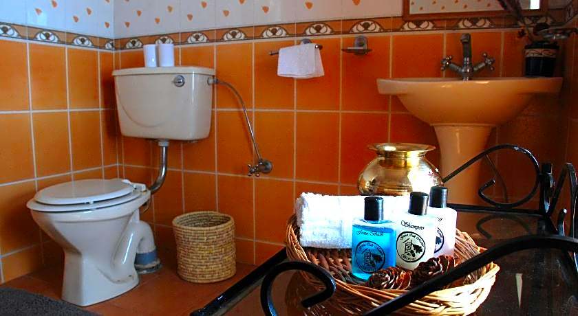 Tree of Life - Grand Oak Manor, Binsar Wildlife Sanctuary