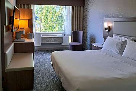 1 Queen Bed, Nonsmoking, Accessible