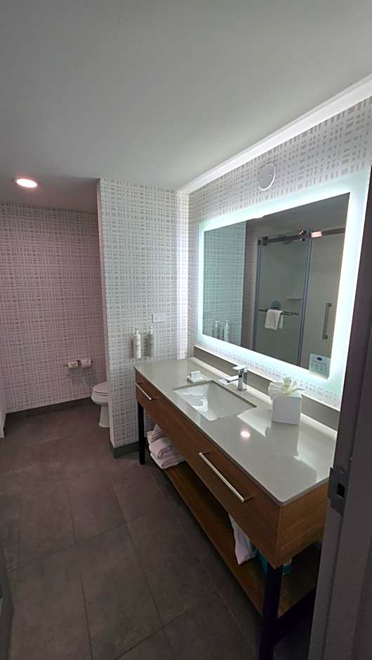 Hampton Inn By Hilton & Suites Chicago Deer Park