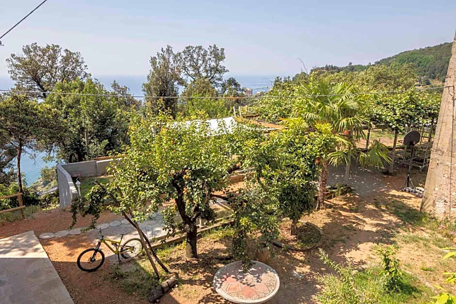 La BRIGNA B&B Il bosco sul mare