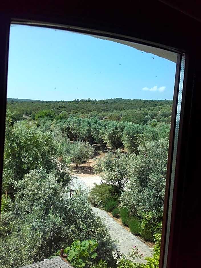 La Bastide de l'Oliveraie