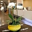 Wingate by Wyndham Bronx/Haven Park