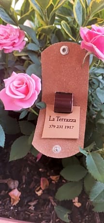 B&B La Terrazza