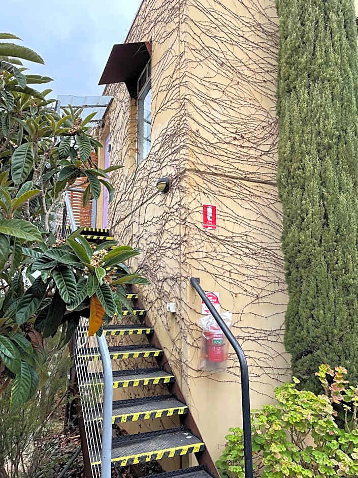 The Albion Motel Castlemaine