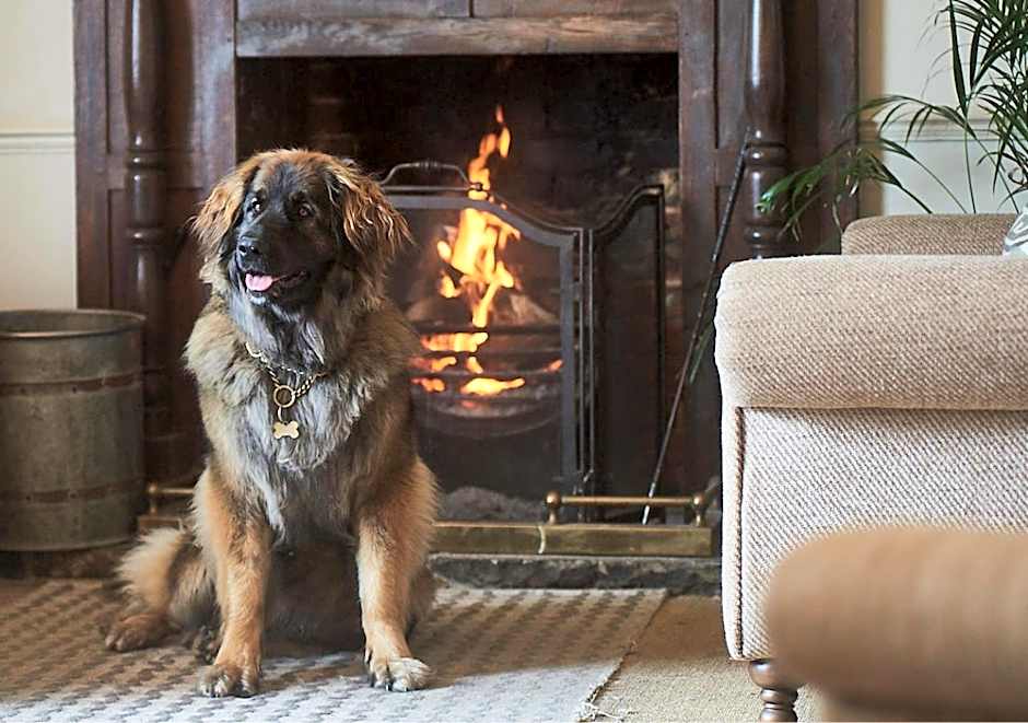 The Black Lion, Long Melford