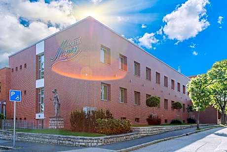 Hostel Mayer Superior Veszprém