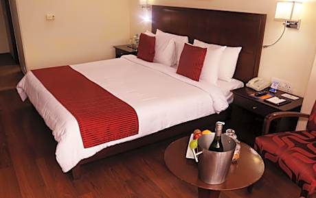 Executive Suite - 1 Double Bed 35SQM WiFi Living Area Shower