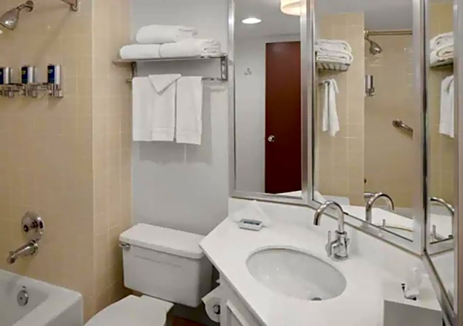 Radisson Hotel Detroit Metro Airport
