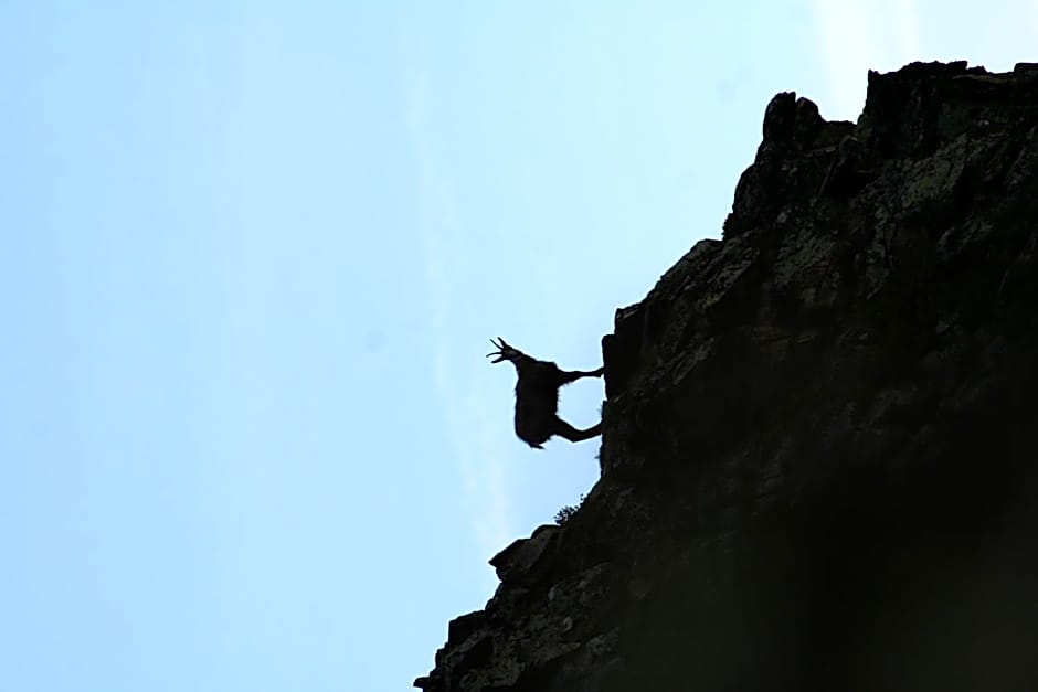 Apart Gletscherblick