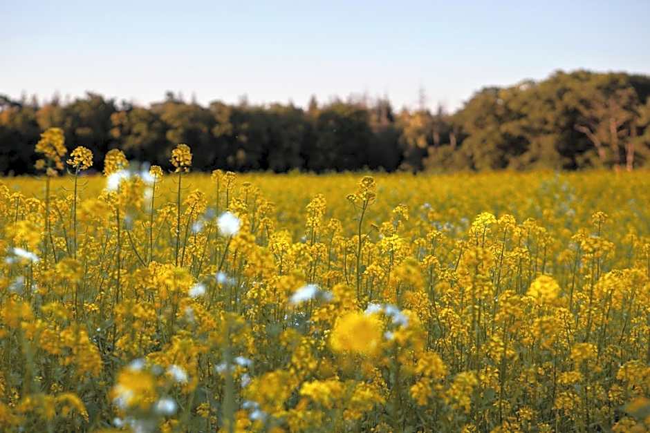 Buitenplaats Petersburg