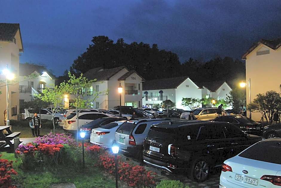 Meta Pension, DamYang