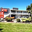 Lake Lodge Motel Rotorua