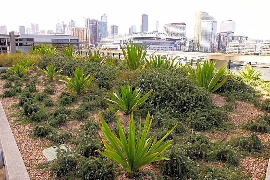 Accent Accommodation@Docklands