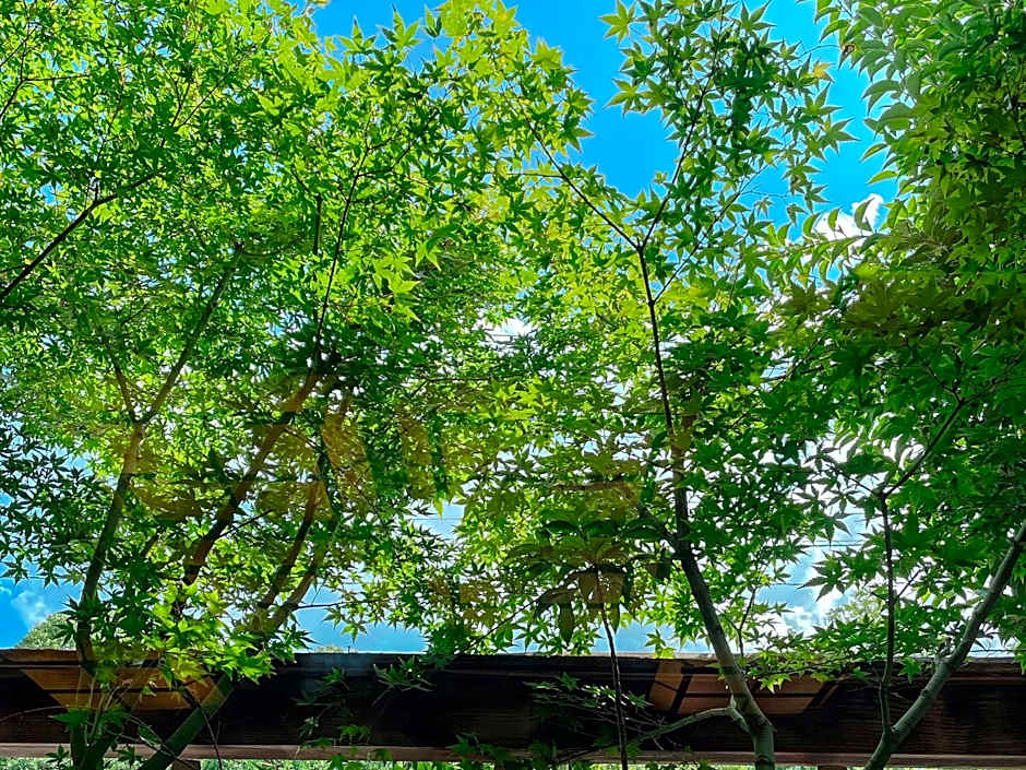 Kappo Ryokan Yumesaki