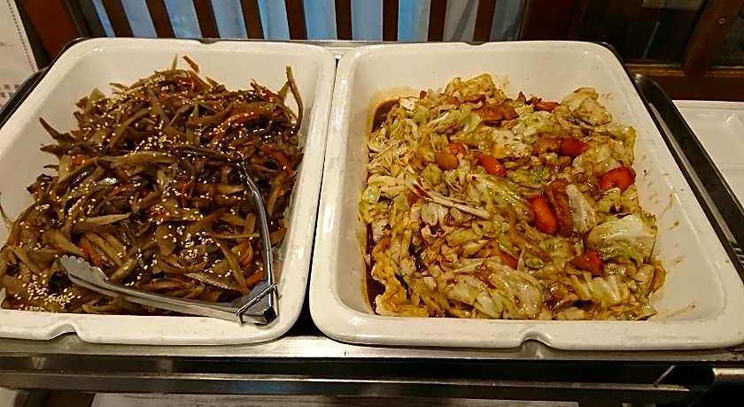 Toyohashi Station Hotel