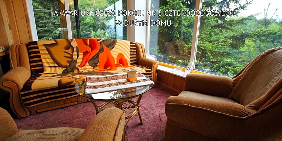 Bieszczady Sosnowa Aleja