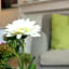 B&B Alphabet - Luxury Guesthouse and Art Gallery