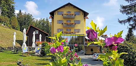Hotel Zarja