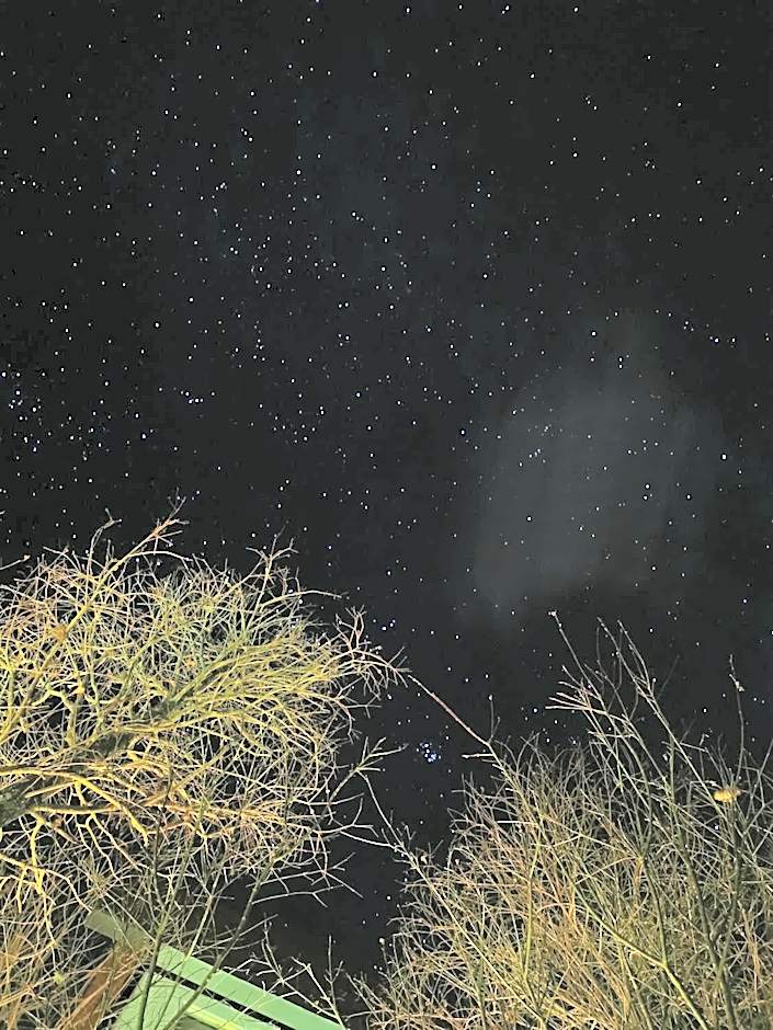 Sheep Village Country Homestay