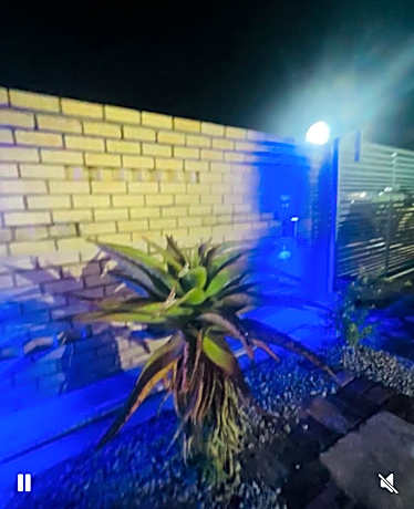 THE NIGHT GUESTHOUSE
