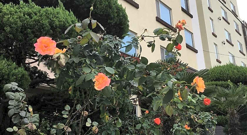 Goodstay Charmant Hotel (Korea Quality)