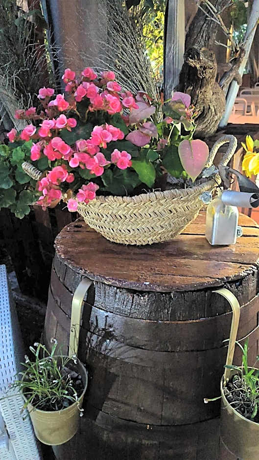 Hotel Rural La Raya 1866