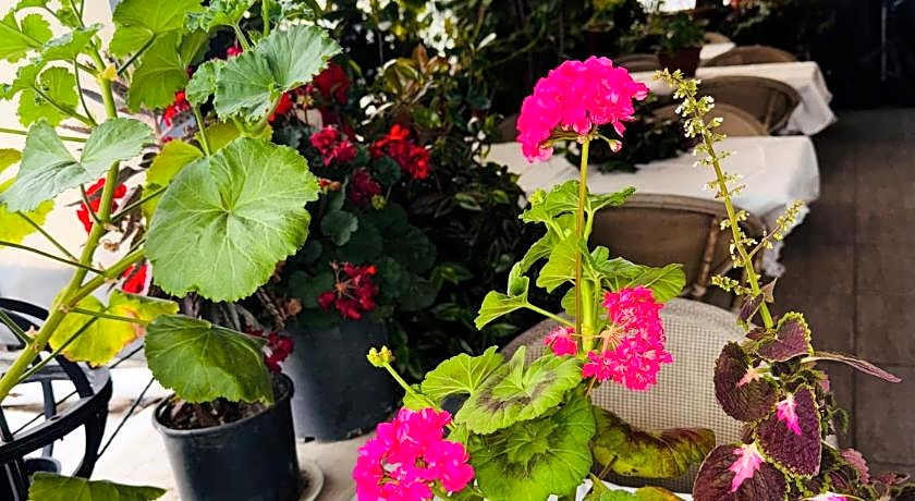 RENOVA OLD CiTY HOTEL