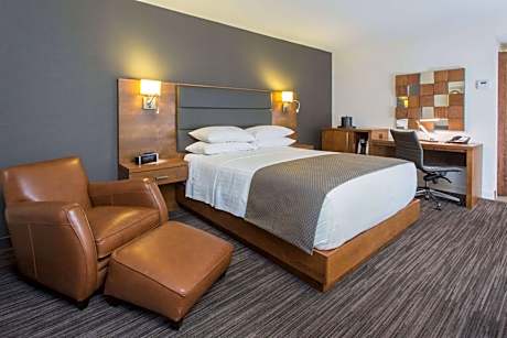 1 Queen Bed Executive Room Non-Smoking