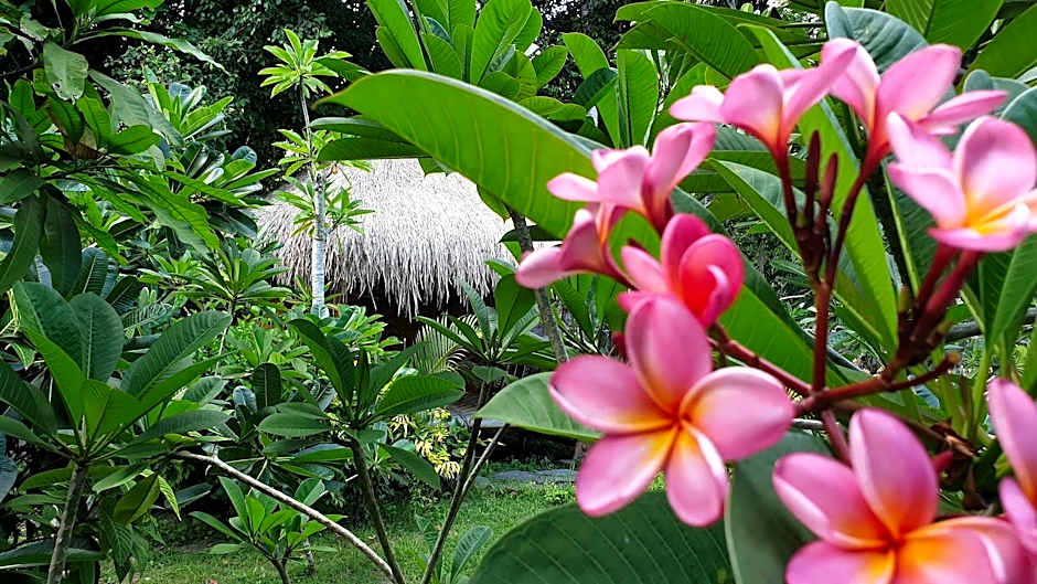 SAME SAME Bungalows - ECO Friendly