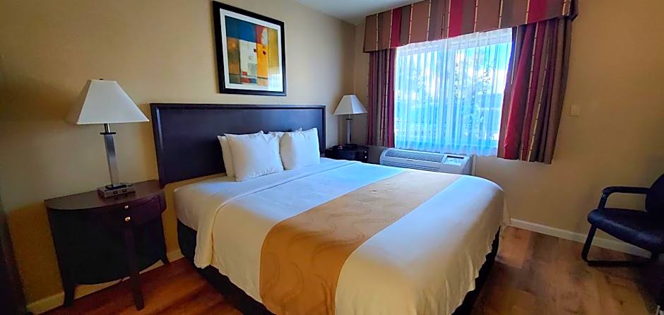 Quality Inn & Suites Anaheim At The Park