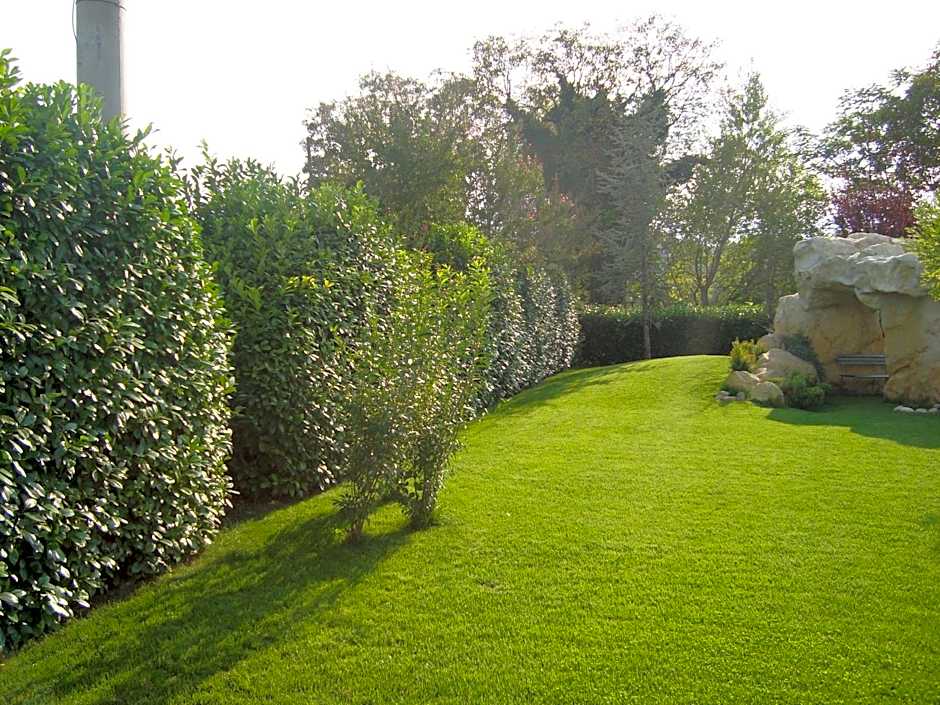 Hotel Le Ginestre