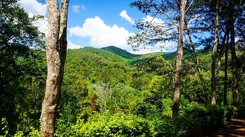 LUSHOTO EXECUTIVE LODGE