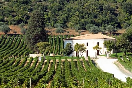 San Calisto camere con vigna
