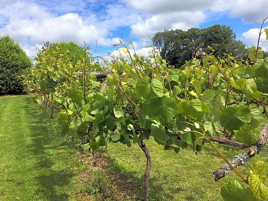 Jabajak Vineyard Restaurant & Rooms