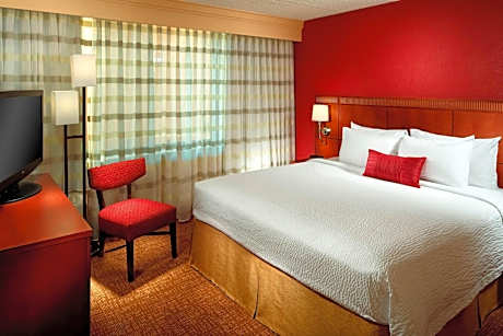 Suite, 1 King, Sofa bed