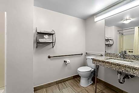 1 King Bed Efficiency Nonsmoking Accessible