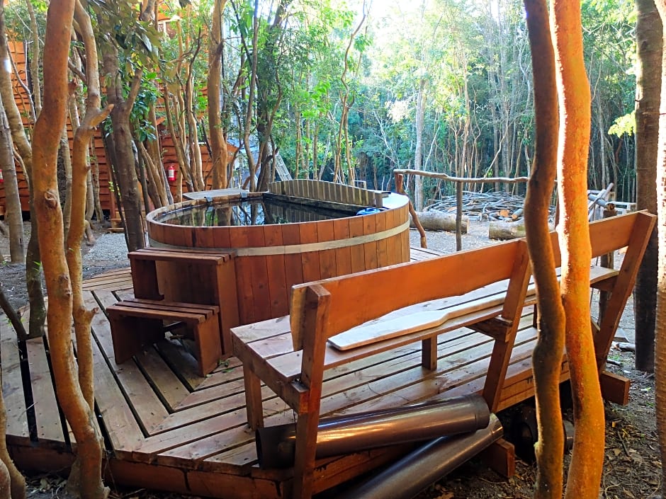 Cabañas Ensenada Bosque Nativo