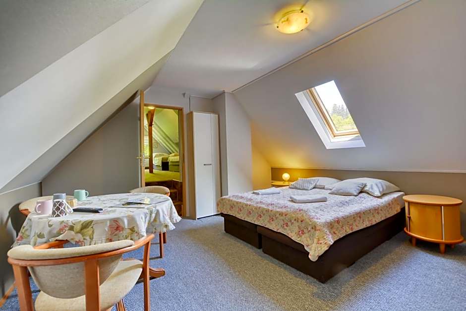 Harmont Montis- dawna Zającówka- IDEALNA lokalizacja - leśna enklawa w centrum miasta! Sauna, masaże, zabiegi spa!