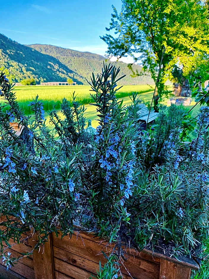 Rooms & Apartment ZALA Skier-Friendly near cable car