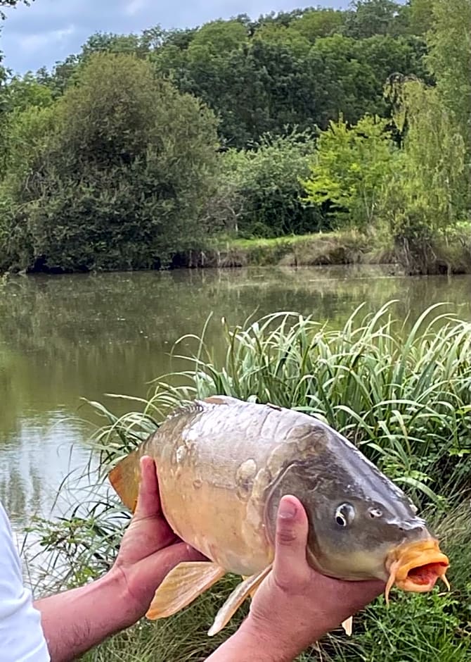 Domaine du clos henri