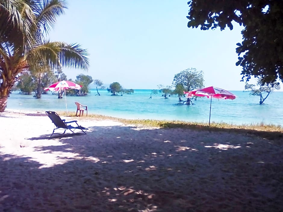 Coconhuts Beach Resort-Neil Island