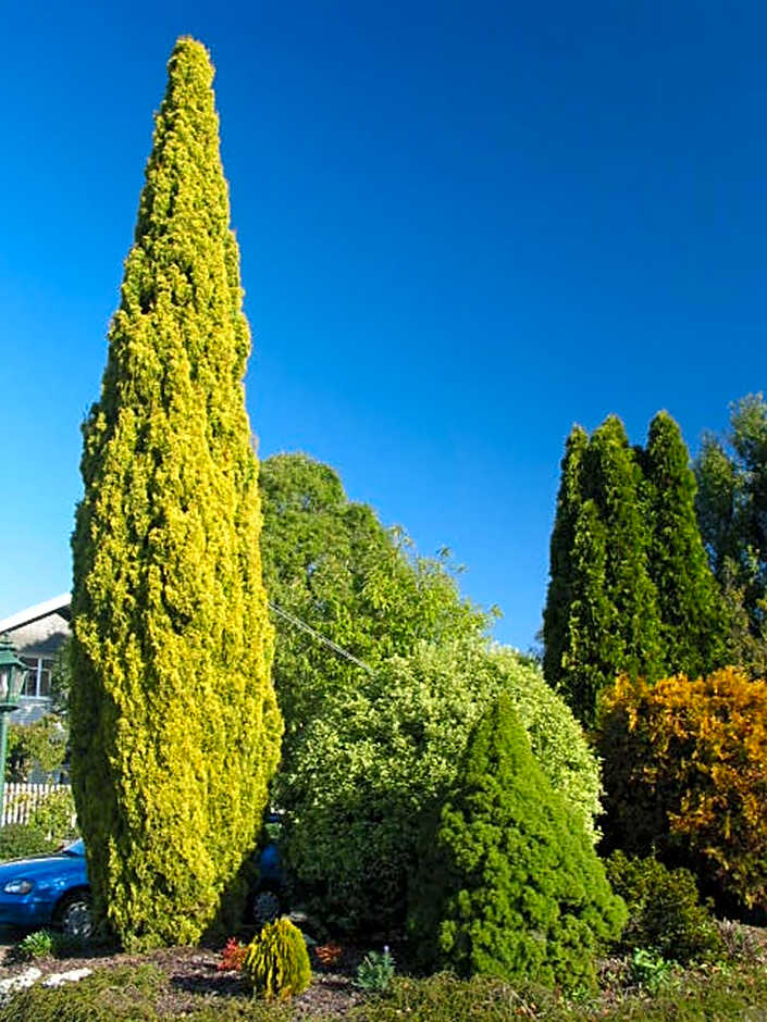 Aalton Motel