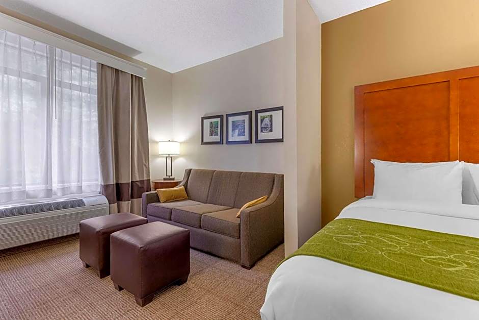 Comfort Suites Boone - University Area